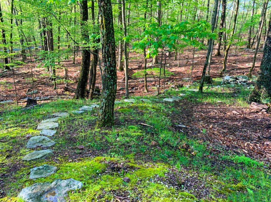 Huge Cabin W Hot Tub, Deck, Grill, Fire Pit, Wifi Berkeley Springs Exterior foto